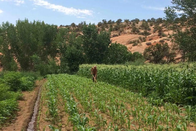 Chuyện thật như đùa: Người đàn ông đào thông quả đồi để làm nhà