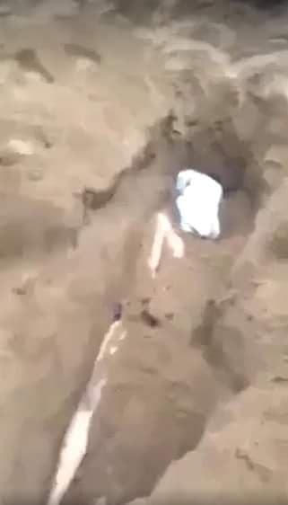 Và bị "chôn sống"