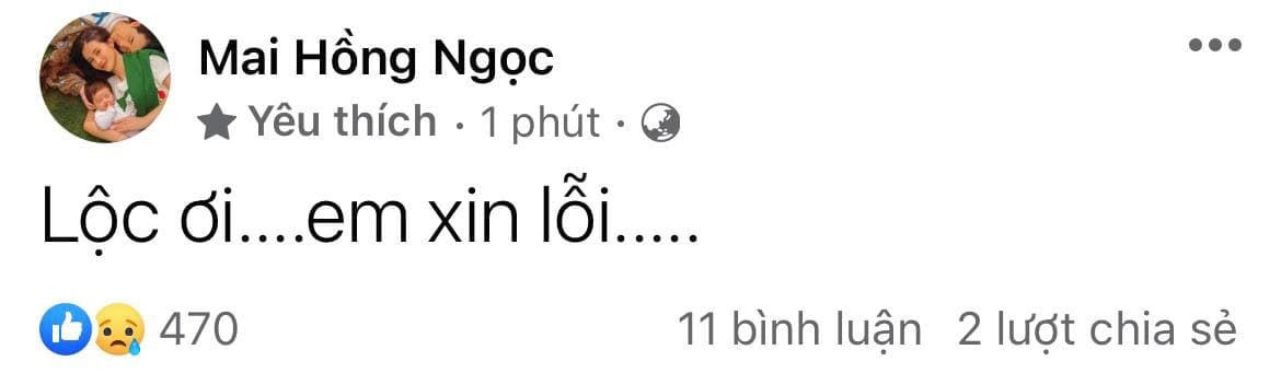 Đông Nhi gửi lời xin lỗi đến Phan Minh Lộc sau sự ra đi đột ngột của anh.