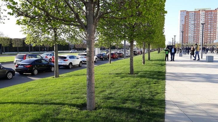 Krasnodar vào mùa xuân với hàng cây thẳng tắp.