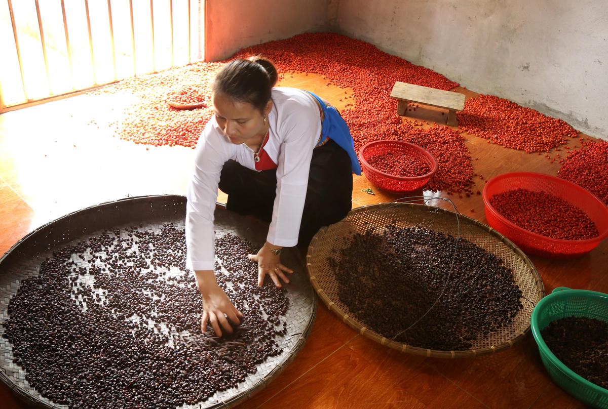 Hạt dổi thành phẩm.