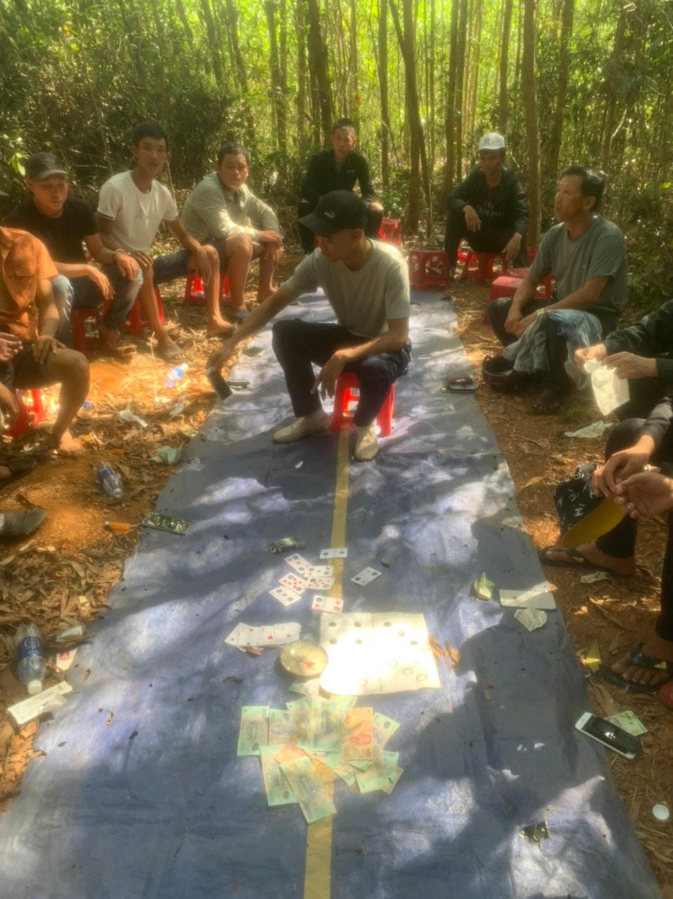 Băt quả tang các đối tượng trong rừng keo xã Bình An.