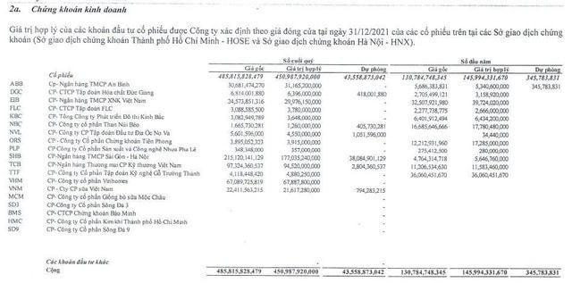 Danh mục đầu tư chứng khoán của NDN tính tới 31/12/2021.