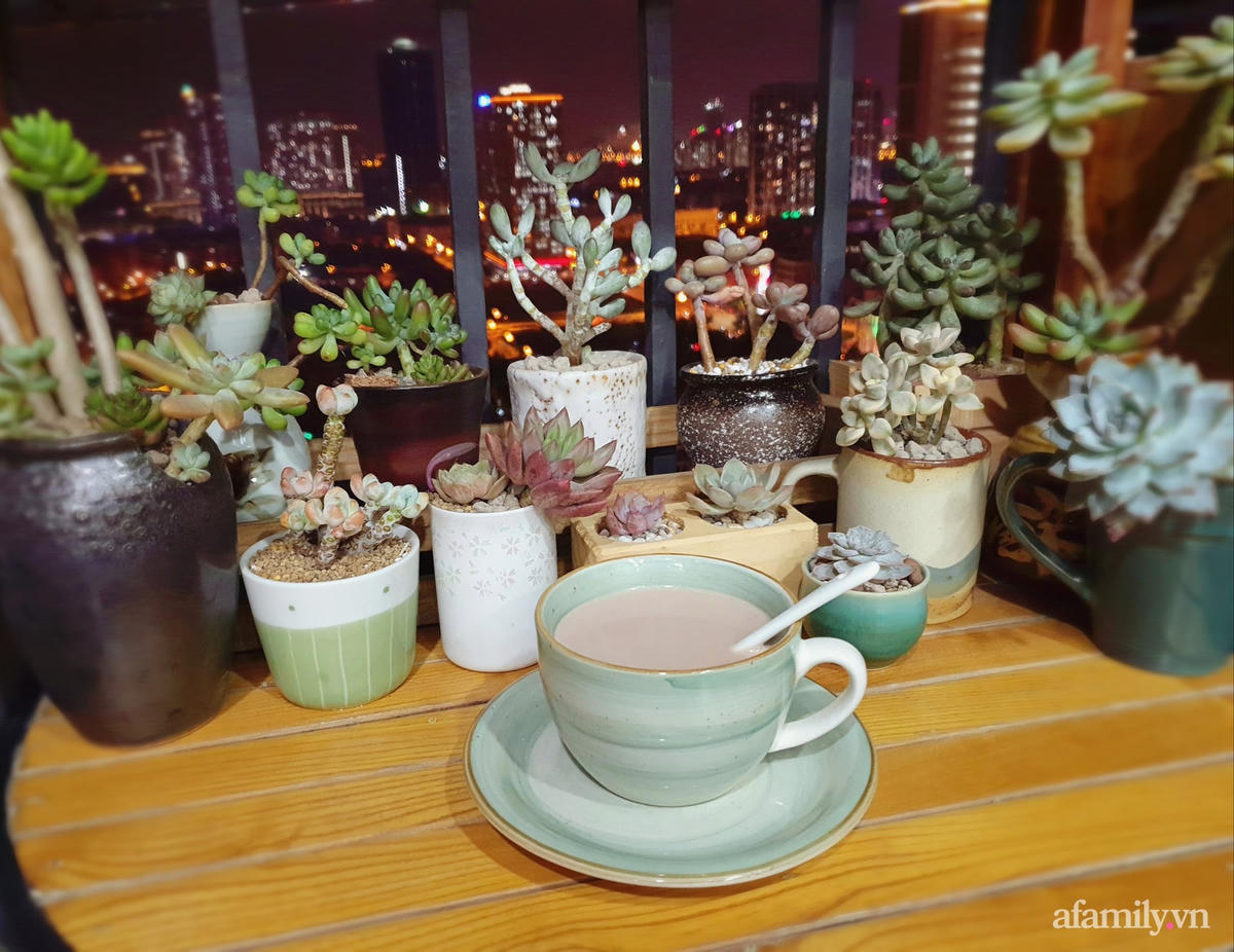 [ẢNH] Ngỡ ngàng vườn sen đá tuyệt đẹp chỉ 6 m2 ở Thủ đô Hà Nội