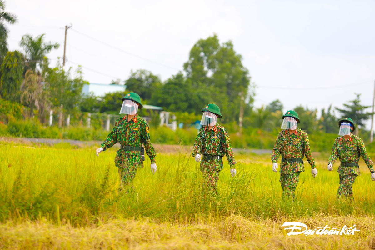 Lực lượng quân đội tiến vào khu ruộng mà người dân cần hỗ trợ.