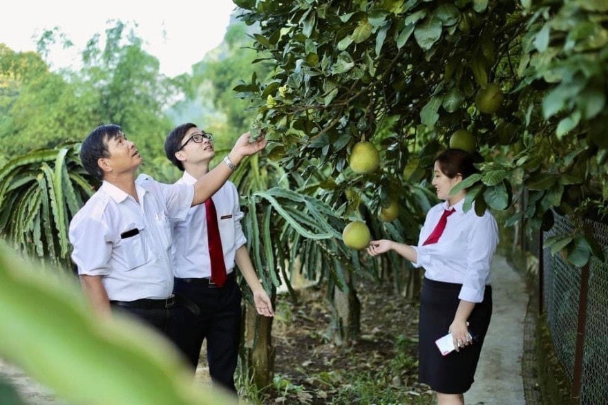 Agribank luôn xứng đáng là ngân hàng chủ lực của “tam nông”.
