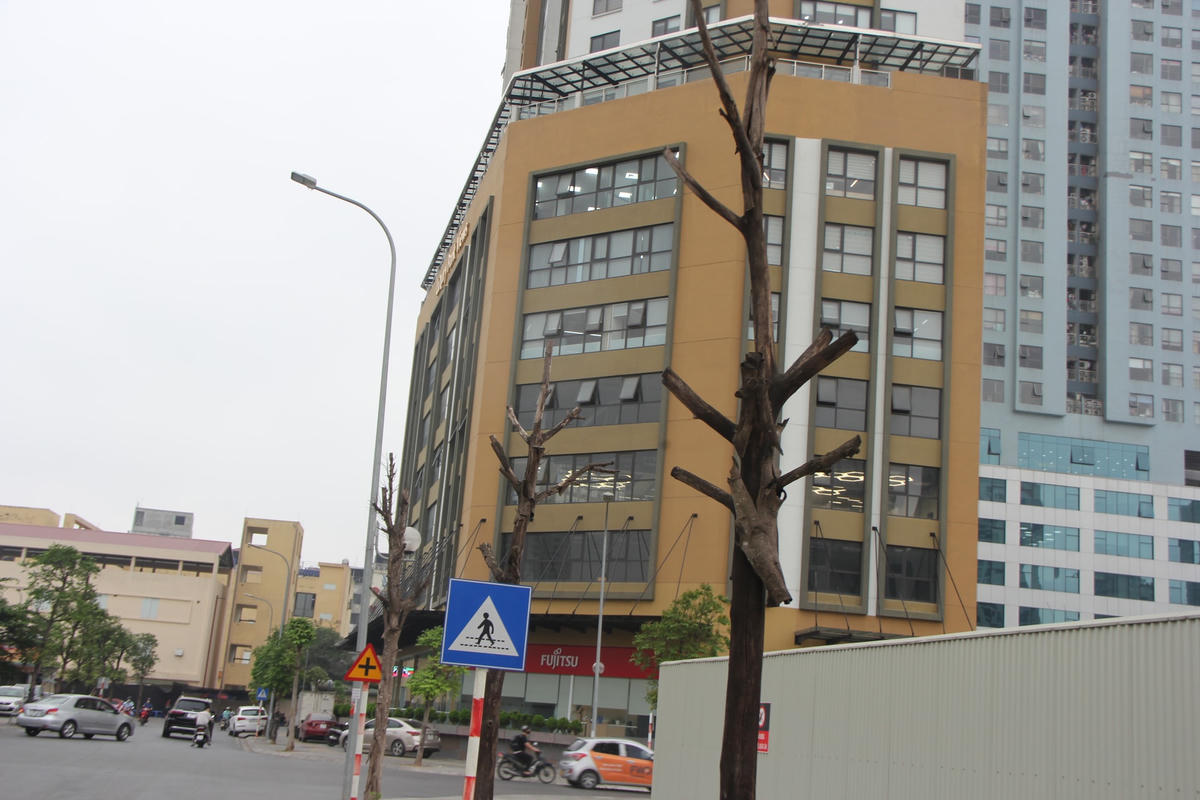 Việc những cây xanh bị chết không được thay thế mất mỹ quan đô thị, mất an toàn giao thông cho người dân.Anh Vũ Văn Thành một người dân sinh sống ở phường Dịch Vọng Hậu cho biết: "Tôi thường xuyên ra Công viên Cầu Giấy để chạy bộ, thấy hàng cây sấu hai bên đường chết khô mà thấy xót xa, nuối tiếc. Vì cách đây mấy năm khi mới trồng cây cũng có mầm có lá, chắc do không được tưới nước chăm sóc nên cây chết khô dần".Nhiều cây khô bị cắt bỏ để lại gốc.Một số cây xanh ngay cạnh cổng trụ sở một doanh nghiệp chết dần, chết mòn.