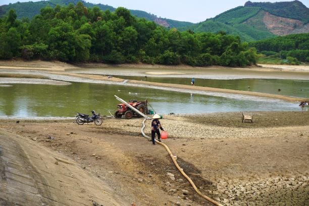 Hàng nghìn ha lúa mùa rơi vào tình trạng bị hạn hán nghiêm trọng.