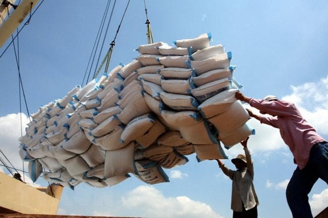  Ngành gạo khởi sắc rõ nét kể từ khi EVFTA chính thức có hiệu lực.