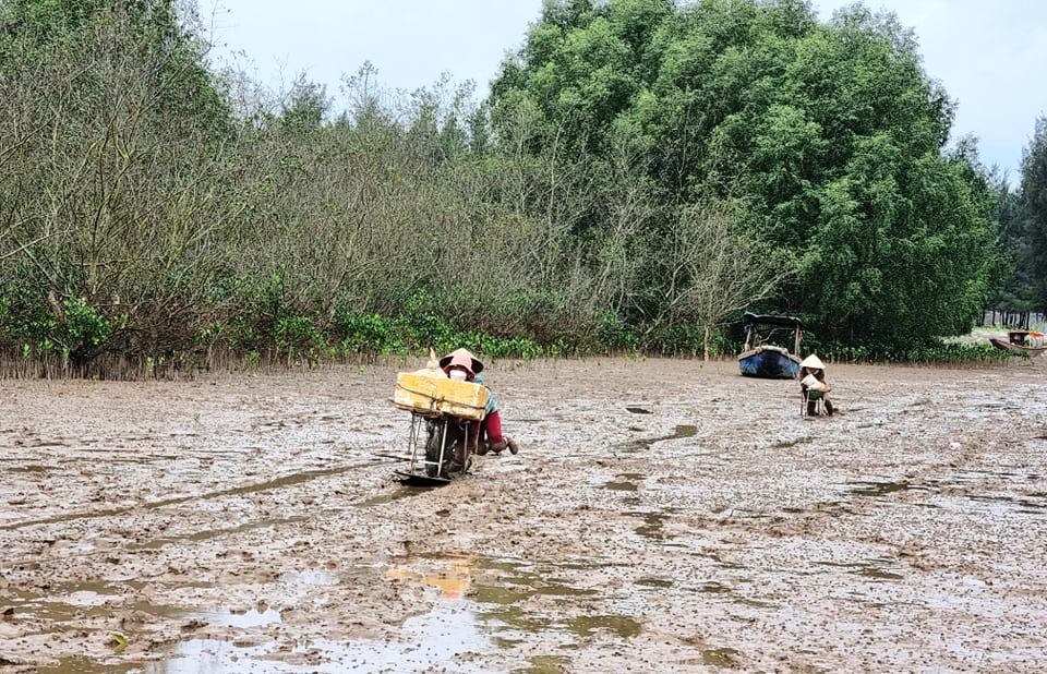 Ngư dân vùng biển Đa Lộc hào hứng với món lộc trời ban.