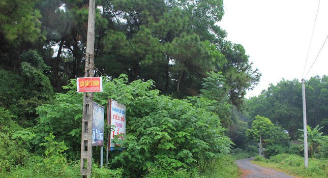 Biển rao bán đất xuất hiện tràn lan hai bên đường khu vực các xã ở huyện Sóc Sơn.