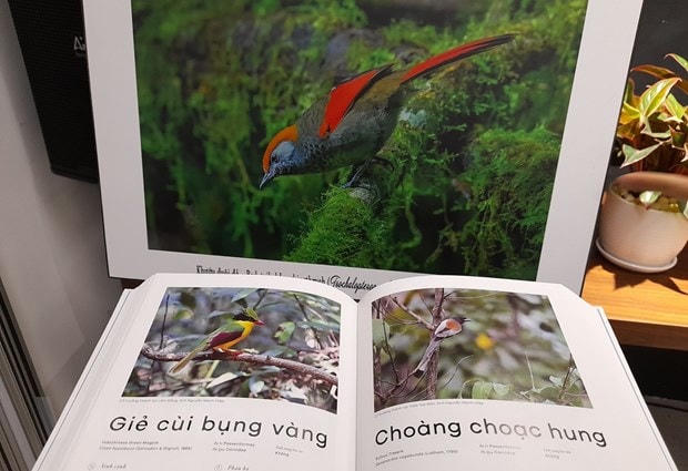 Những bức ảnh trong cuốn sách "Các loài chim Việt Nam." Ảnh: HV/Vietnam+.