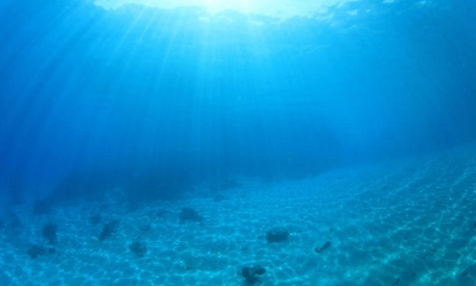Robot được dùng để thám hiểm vùng đáy biển sâu 2.500m. (Nguồn: worldwildlife.org).