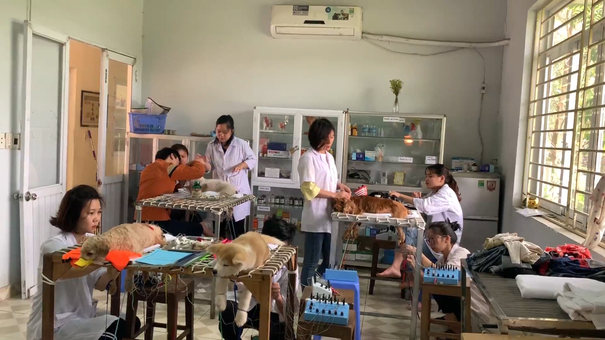 “Phòng khám thú y cộng đồng” tại ngõ 56, đường Ngô Xuân Quảng, huyện Gia Lâm, Hà Nội.