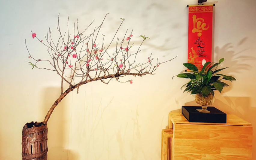 Cảnh đào dáng huyền mỏng manh tạo nét thanh lịch cho không gian ngôi nhà. (Ảnh minh hoạ).