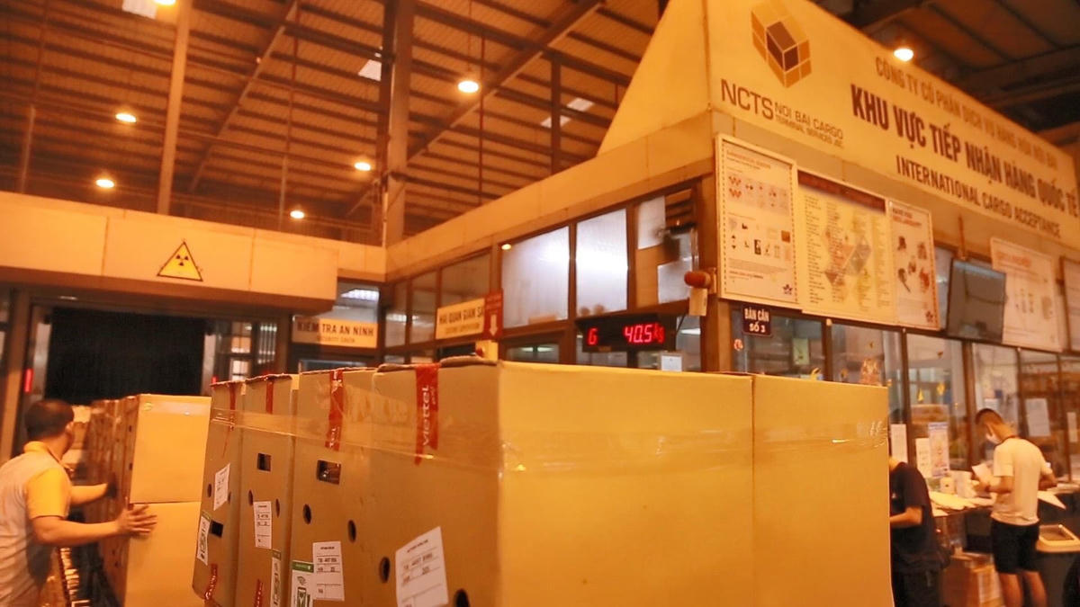 Trái vải Việt được giao dịch qua sàn thương mại điện tử sẽ sớm đến tay người tiêu dùng nước ngoài.