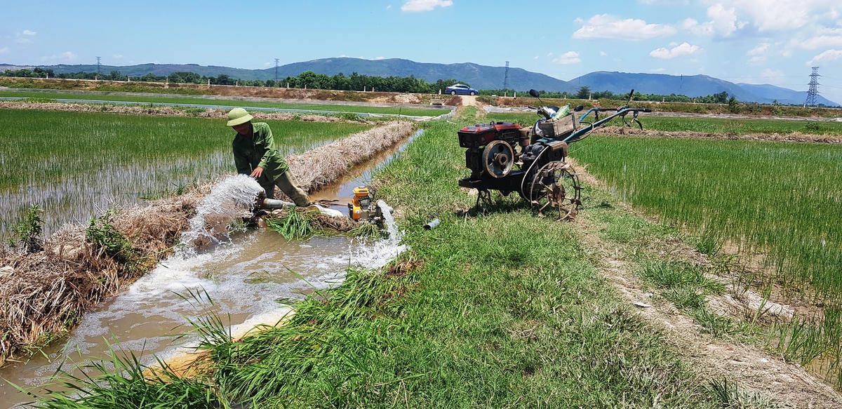 Biện pháp chống hạn duy nhất hiện nay là túc trực nguồn nước tưới và bơm dã chiến.