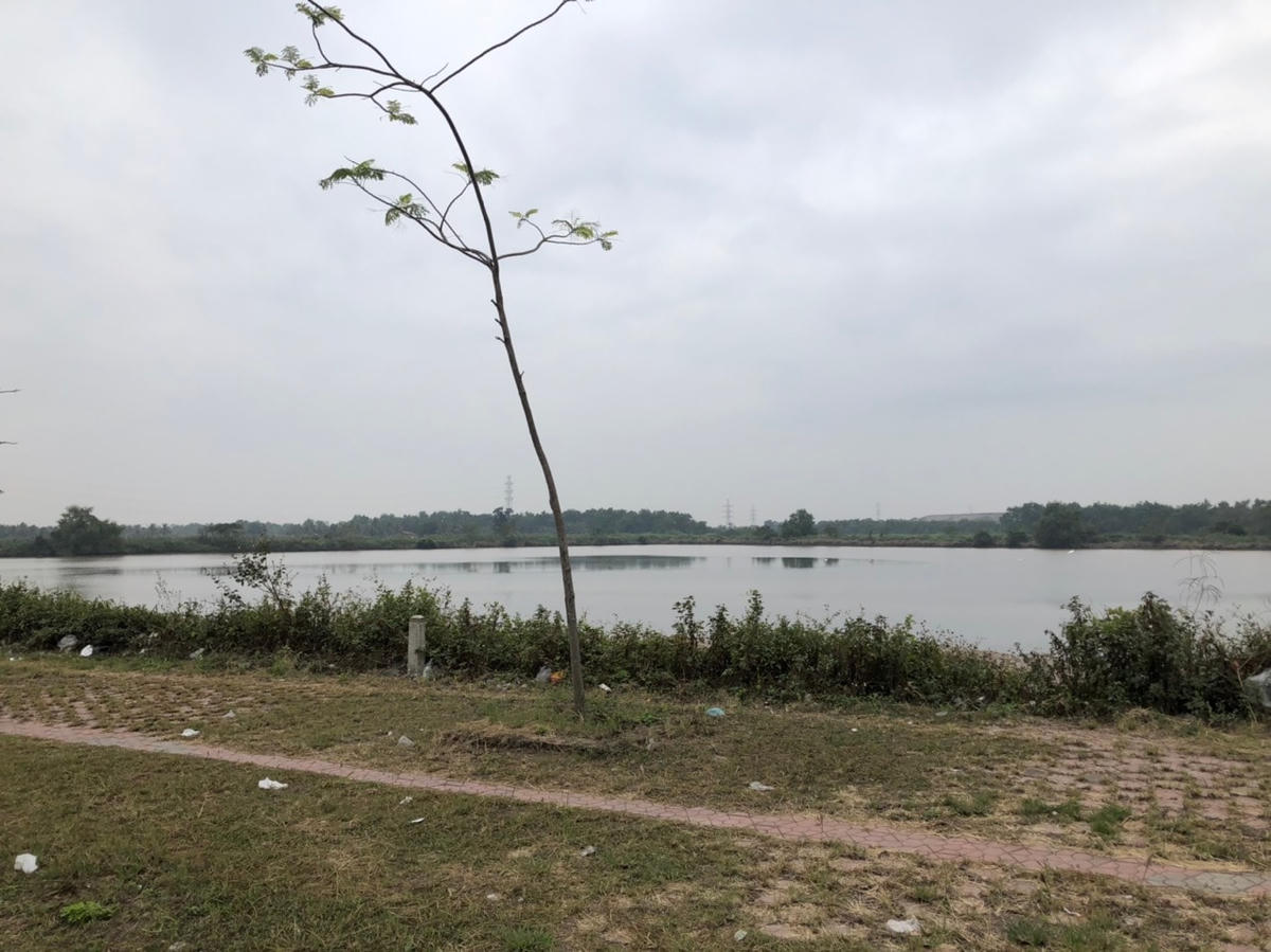 Khu đầm thủy sản tại Đình Vũ muốn "chạy" dự án làm kho bãi, hậu cần sau cảng.