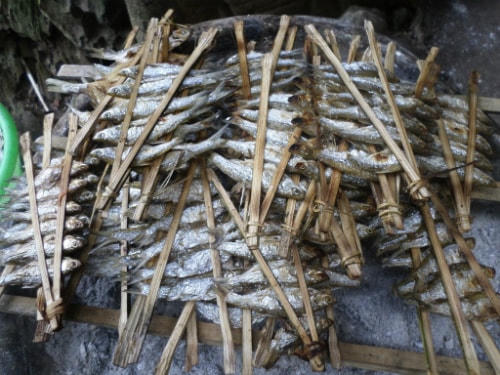 Cá nướng ở bản Pác Ngòi là món ăn hấp dẫn nhất ở chốn núi rừng này.