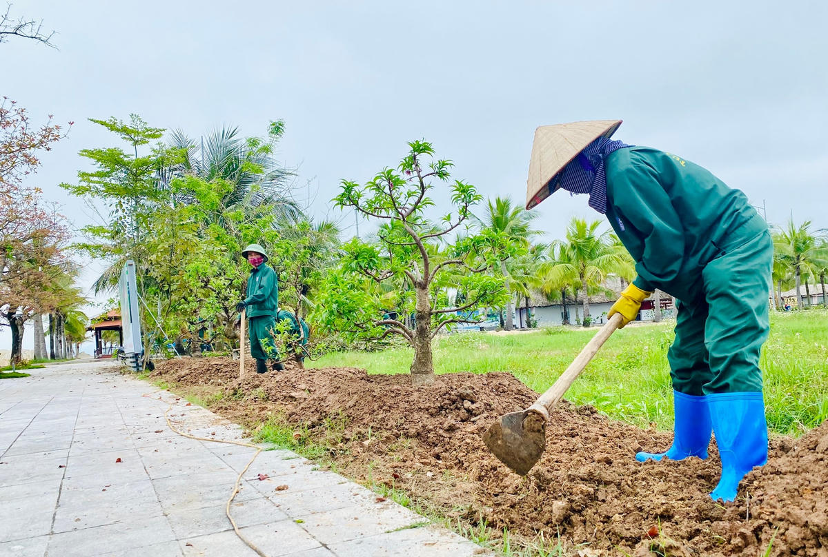 Tuần Châu đã bố trí trồng thêm cây xanh, hoa, treo cờ phướn, băng rôn,… để trang trí cảnh quan nơi tổ chức các môn thi đấu.
