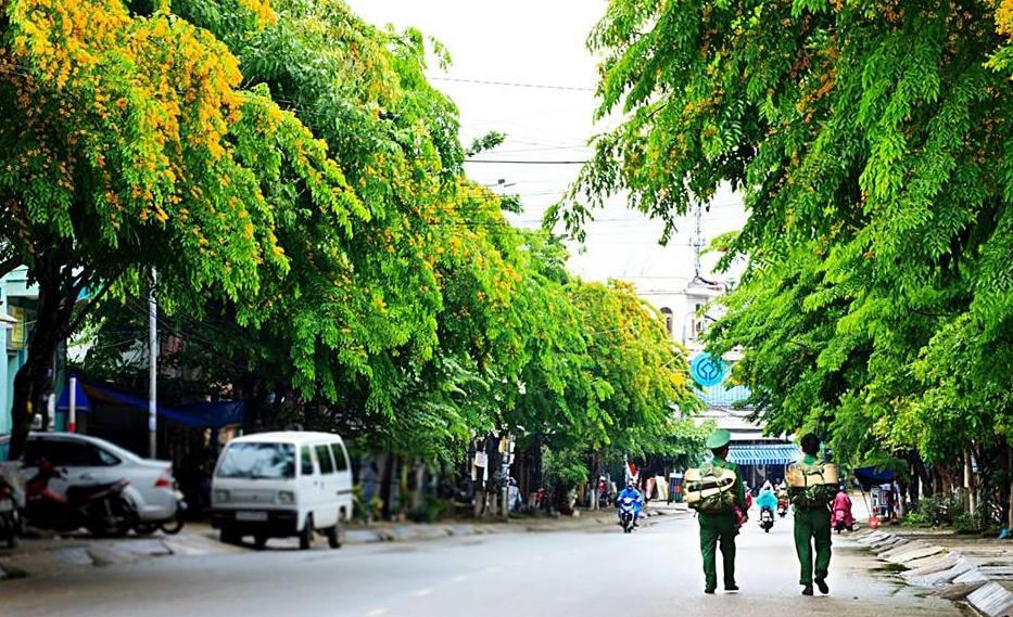 TP Tam Kỳ ngày càng xanh sạch đẹp.