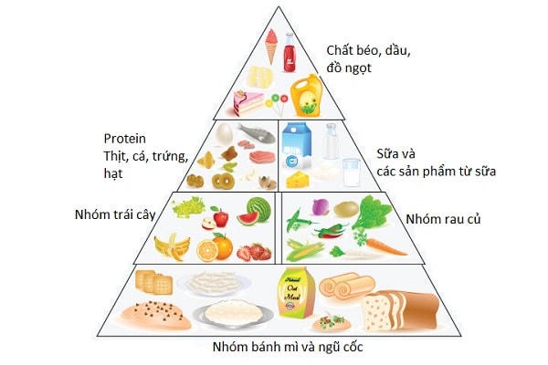 Tháp dinh dưỡng cân đối.