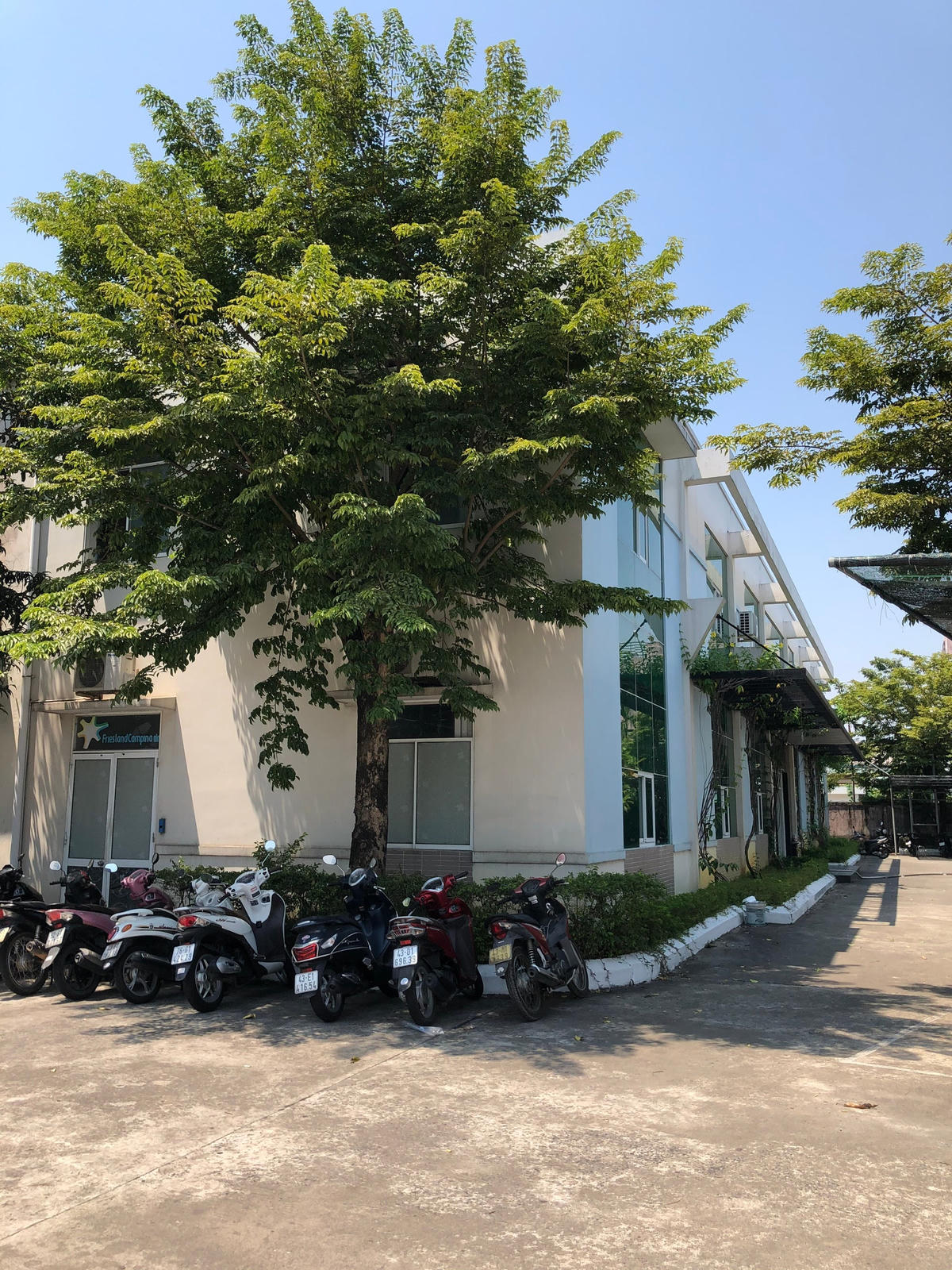 Văn phòng Công ty CP dịch vụ thương mại Trường Minh (Khu công nghiệp An Đồn) - nơi làm việc của nữ nhân viên trực tổng đài mắc Covid -19 (BN3638). Ảnh: Bình Nguyên.