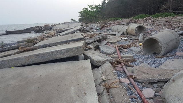 Không chỉ đánh sập kè, sóng biển đã tiến sâu, tấn công khu rừng phòng hộ phía trong.