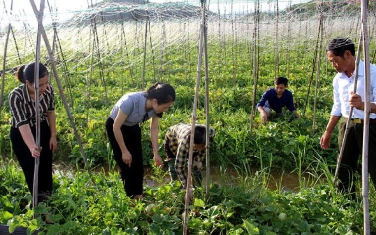 Giám sát xây dựng nông thôn mới trên địa bàn huyện Gia Viễn.