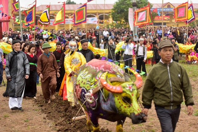 Hình ảnh lão nông trong vai vua Lê Đại Hành xuống ruộng đi cày trong lễ hội Tịch điền Đọi Sơn năm 2019. Ảnh: Đức Văn.Để đảm bảo công tác phòng, chống dịch Covid-19, các hoạt động ở phần hội sẽ được rút gọn chỉ còn tổ chức Hội thi vẽ, trang trí trâu; triển lãm của Hội sinh vật cảnh thị xã; trưng bày các gian hàng giới thiệu sản phẩm nông nghiệp, tiểu thủ công nghiệp tiêu biểu của thị xã Duy Tiên…