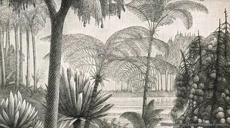 Bí ẩn về 11 cuộc đại tuyệt chủng trên Trái Đất, tiên đoán về sự kiện thứ 12