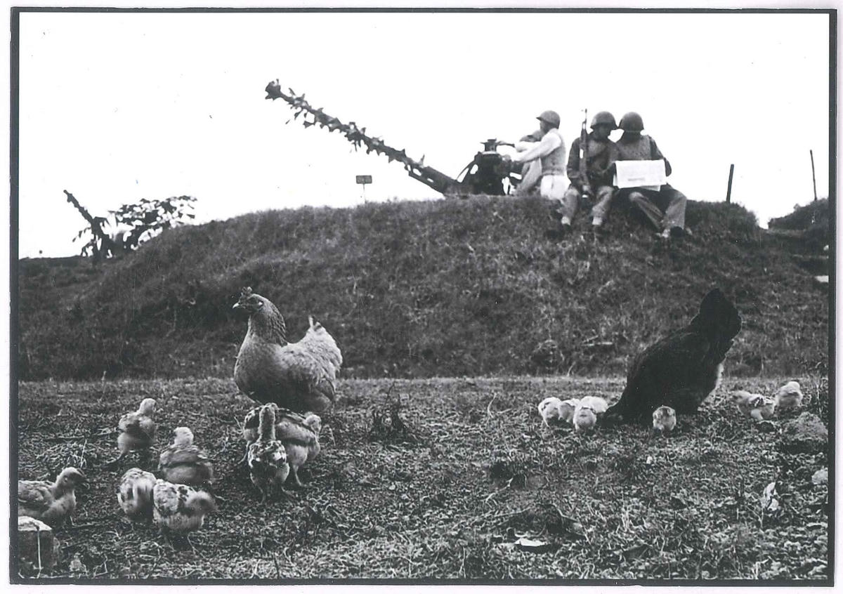 Cảnh giác.