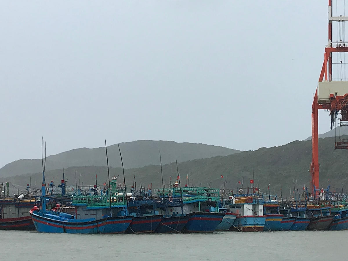 Tàu thuyền neo đậu trú bão tại khu vực cảng Quy Nhơn sáng 28/10.