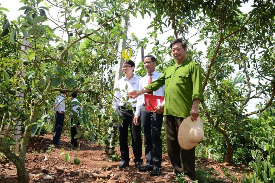 Đồng vốn của Agribank "len lỏi" tới từng thôn, xóm, giúp cho nhiều hộ nông dân trên khắp cả nước có cuộc sống ấm no, góp phần tích cực thay đổi diện mạo nông thôn Việt Nam.