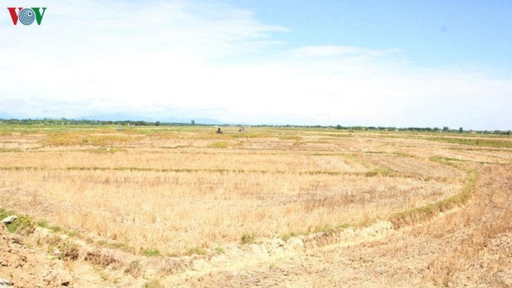 Cuối tháng 7, xuất hiện nhiều mưa dông làm nắng nóng dịu mát ở miền Bắc và miền Trung.