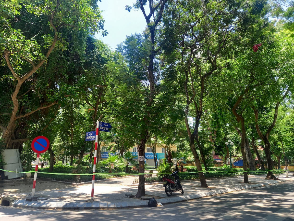 Vườn hoa nơi góc phố Nguyễn Cao.
