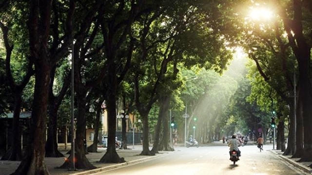 Ảnh minh họa.