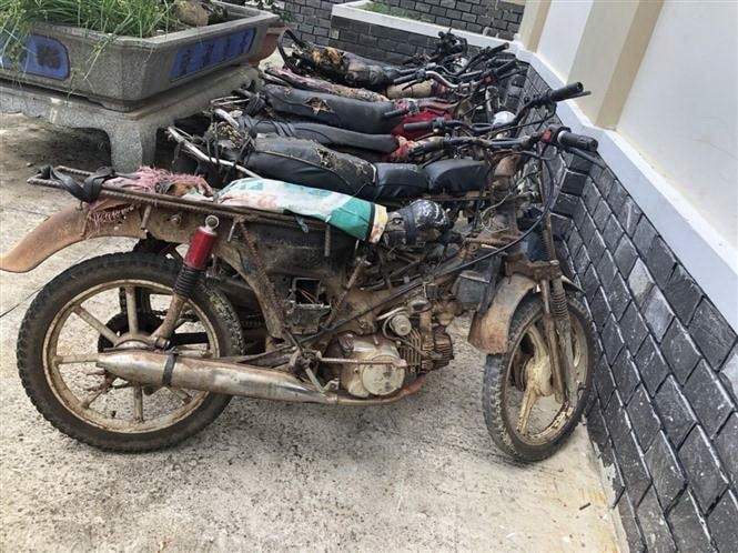 Tang vật được các đối tượng sử dụng để di chuyển, cưa hạ cây rừng. (Ảnh: Hoài Nam/TTXVN).