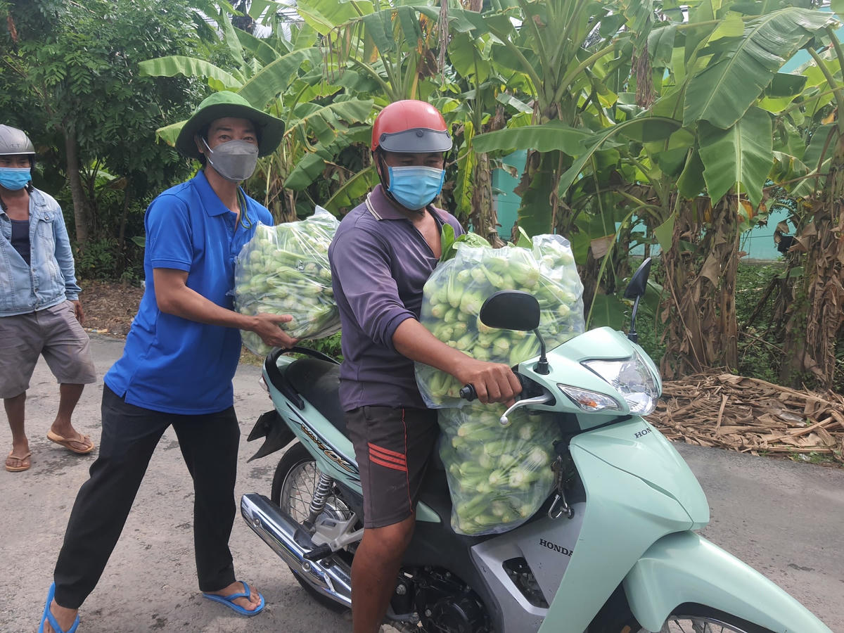 Người dân cũng chung tay hỗ trợ vận chuyển rau củ quả ra xe.