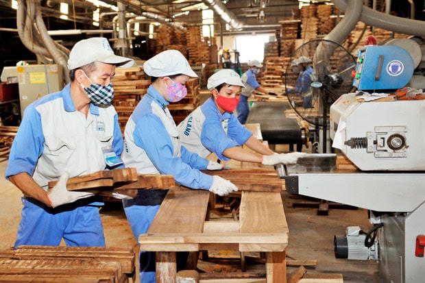 Ngại nhất với DN gỗ xuất khẩu là xin CO.