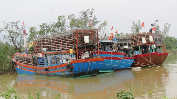 Ngư dân neo đậu tàu thuyền ở nwoi an toàn.