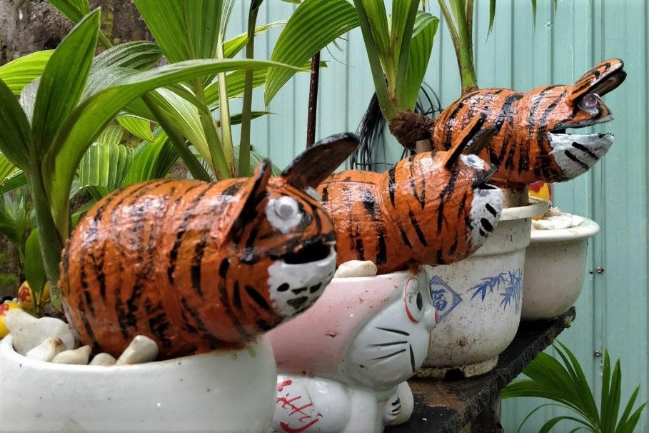 Những linh vật hổ, vừa ngộ nghĩnh vừa sáng tạo.