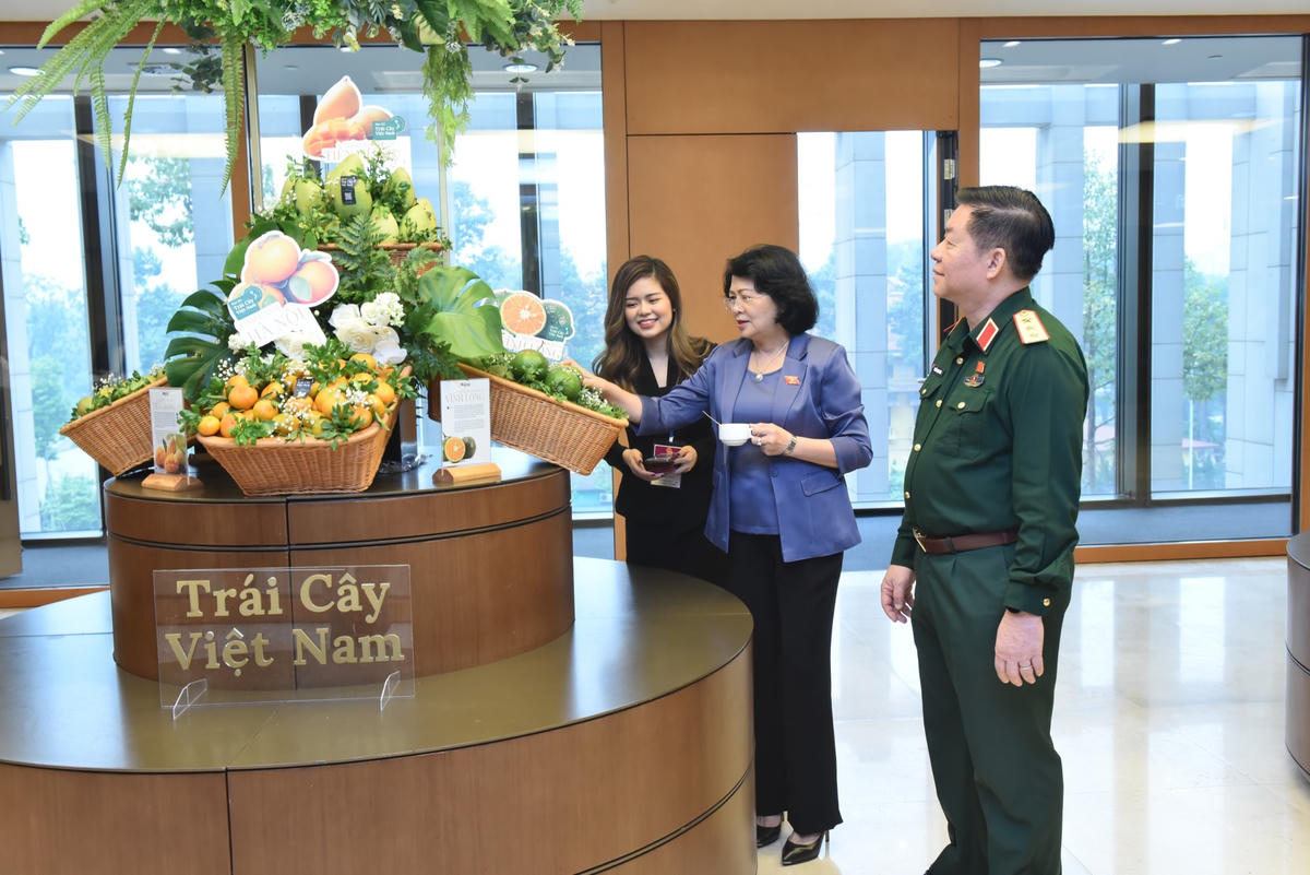 Phó Chủ tịch nước Đặng Thị Ngọc Thịnh tham quan khu vực trưng bày trái cây của tỉnh Vĩnh Long.