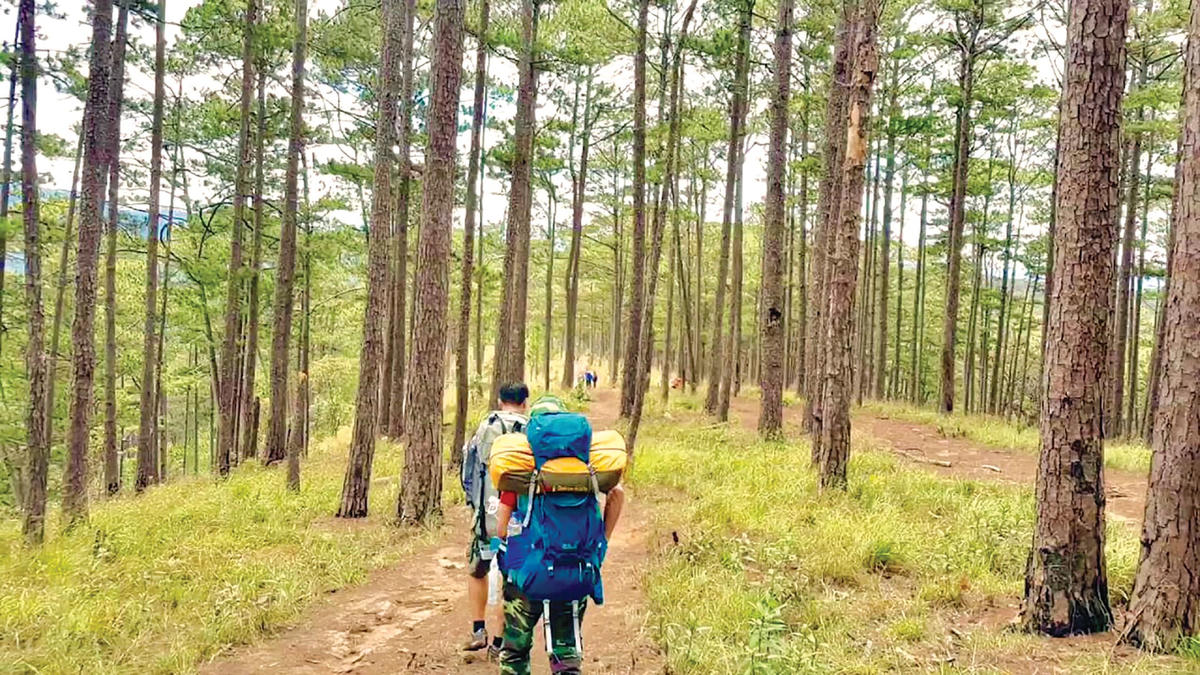 Hành trình tới đỉnh Bidoup - Núi Bà.