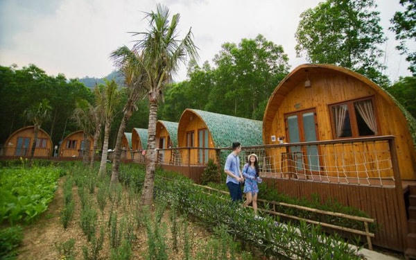 Nhiều chủ đầu tư farmstay đang đối mặt với áp lực trả lãi ngân hàng 