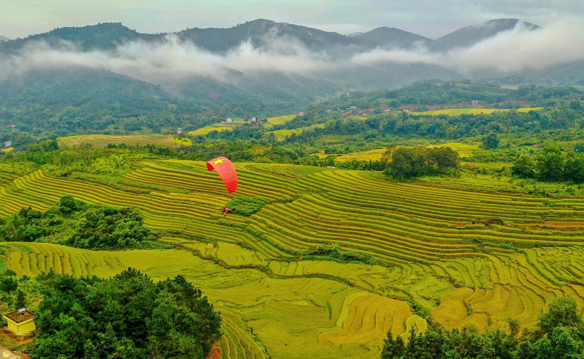 Những thửa ruộng bậc thang tuyệt đẹp tại Quảng Ninh