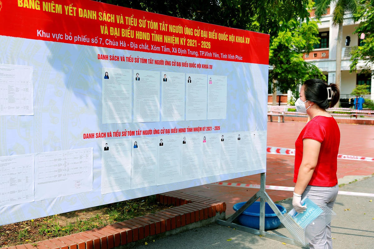 Cử tri sau khi nhận phiếu bầu cử và thẻ cử tri, di chuyển đến xem thông tin trên bảng niêm yết danh sách người ứng cử.