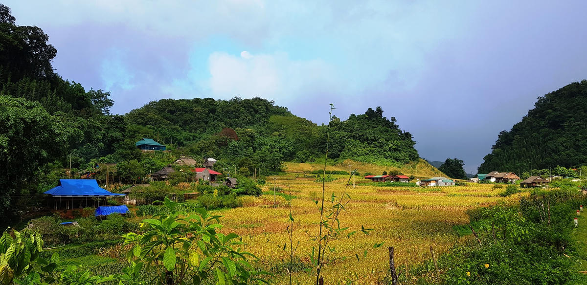 Những căn nhà làm du lịch cộng đồng tại Son Bá Mười.