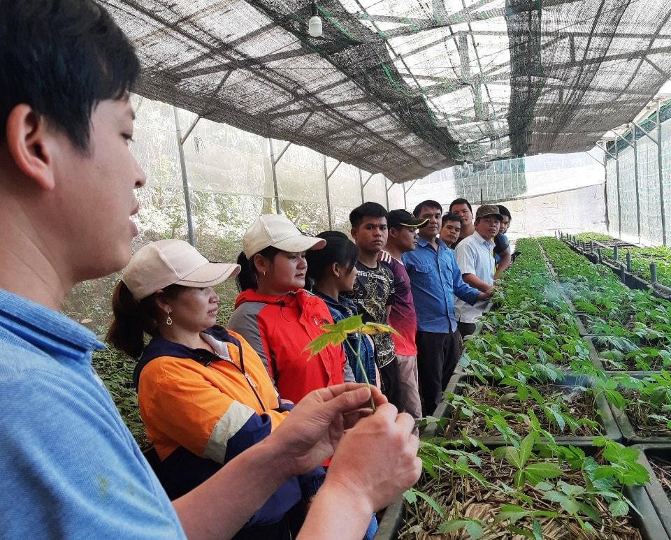 Cán bộ Trung tâm Phát triển Sâm Ngọc Linh thuyết trình về quy trình trồng sâm Ngọc Linh.
