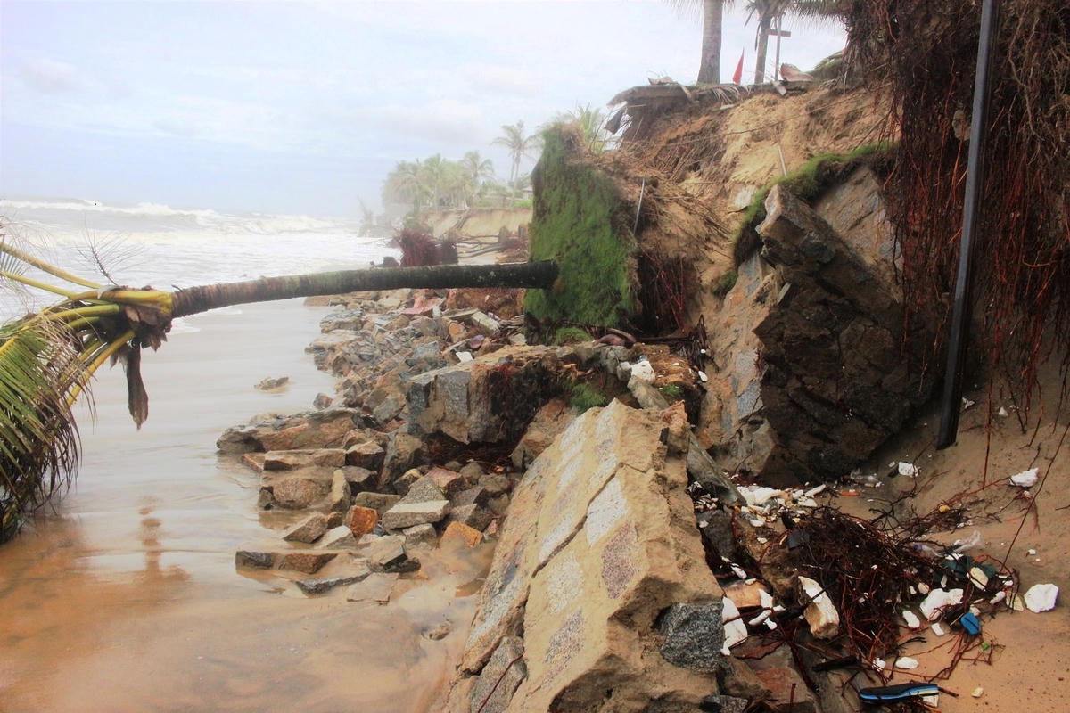 Các bờ kè đá, cây cối bị sạt ngã đổ xuống biển.